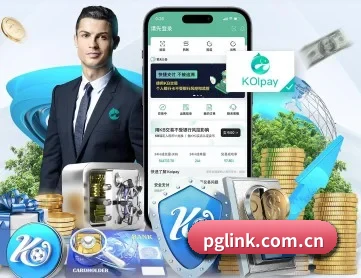 pg APP 深度功能